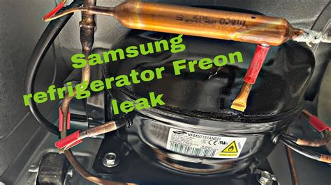 signs of freon leak in refrigerator|How to Tell if Freon is Leaking in a Fridge: In 6 Easy。